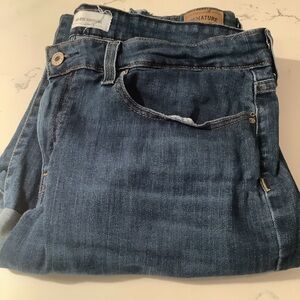 Levi Signature Mid Rise Boyfriend Plus size jeans